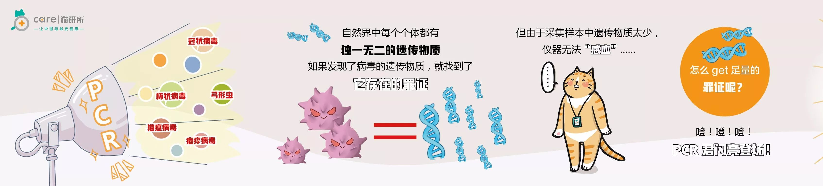 pcr方艙實(shí)驗(yàn)室設(shè)備