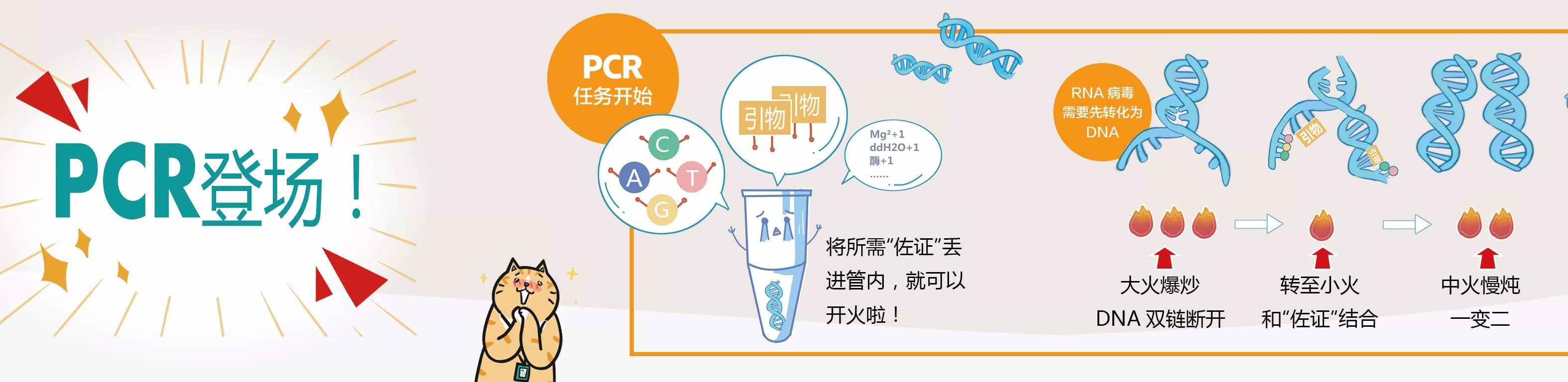 移動pcr方艙實驗室設備之pcr儀擴增核酸過程
