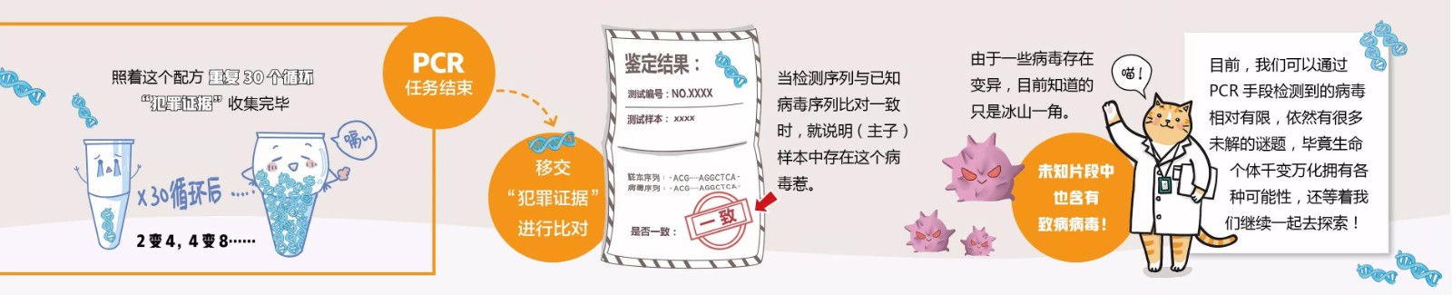 移動pcr方艙實驗室設備之pcr儀擴增和檢測