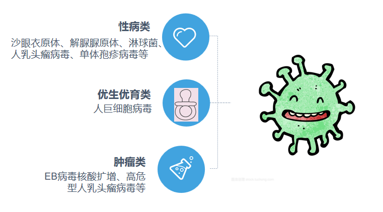 熒光定量PCR分析儀