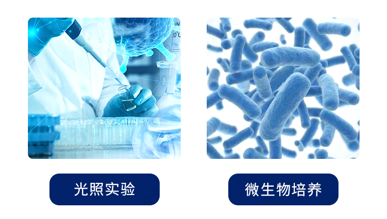 博科光照培養箱