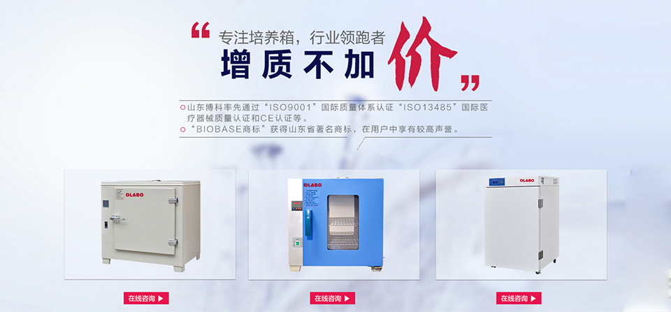 電熱恒溫培養(yǎng)箱
