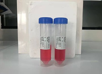 一次性使用病毒采樣管II產品的使用方法與注意事項
