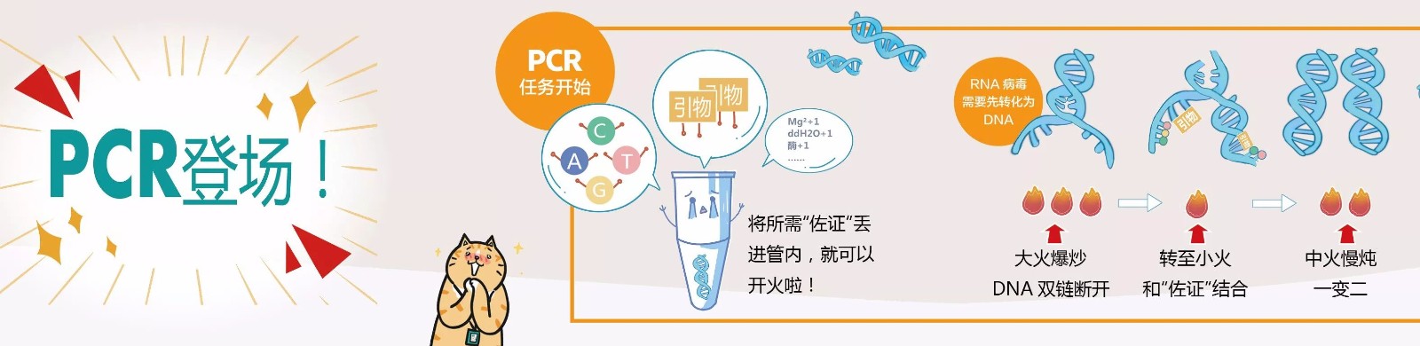 移動(dòng)pcr方艙實(shí)驗(yàn)室設(shè)備之pcr儀擴(kuò)增核酸過程
