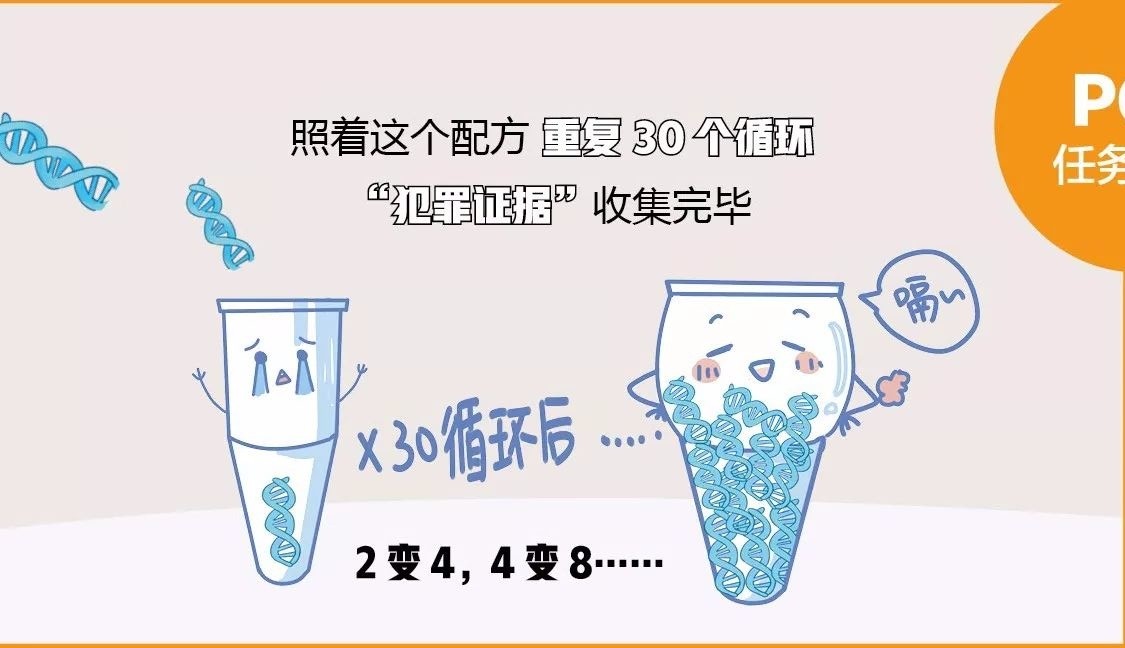 移動(dòng)pcr方艙實(shí)驗(yàn)室設(shè)備之pcr儀擴(kuò)增和檢測