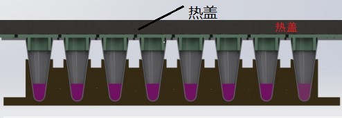 移動PCR方艙實驗室PCR儀自動化熱蓋加熱系統