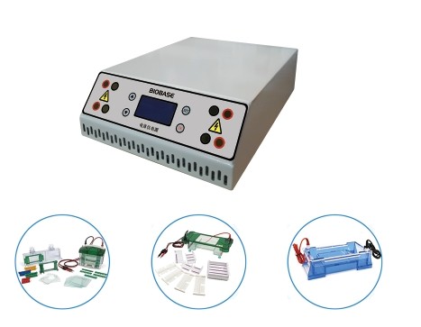 電泳儀：生命科學研究的“電流引擎”，BIOBASE BEP系列定義精準分離新標準